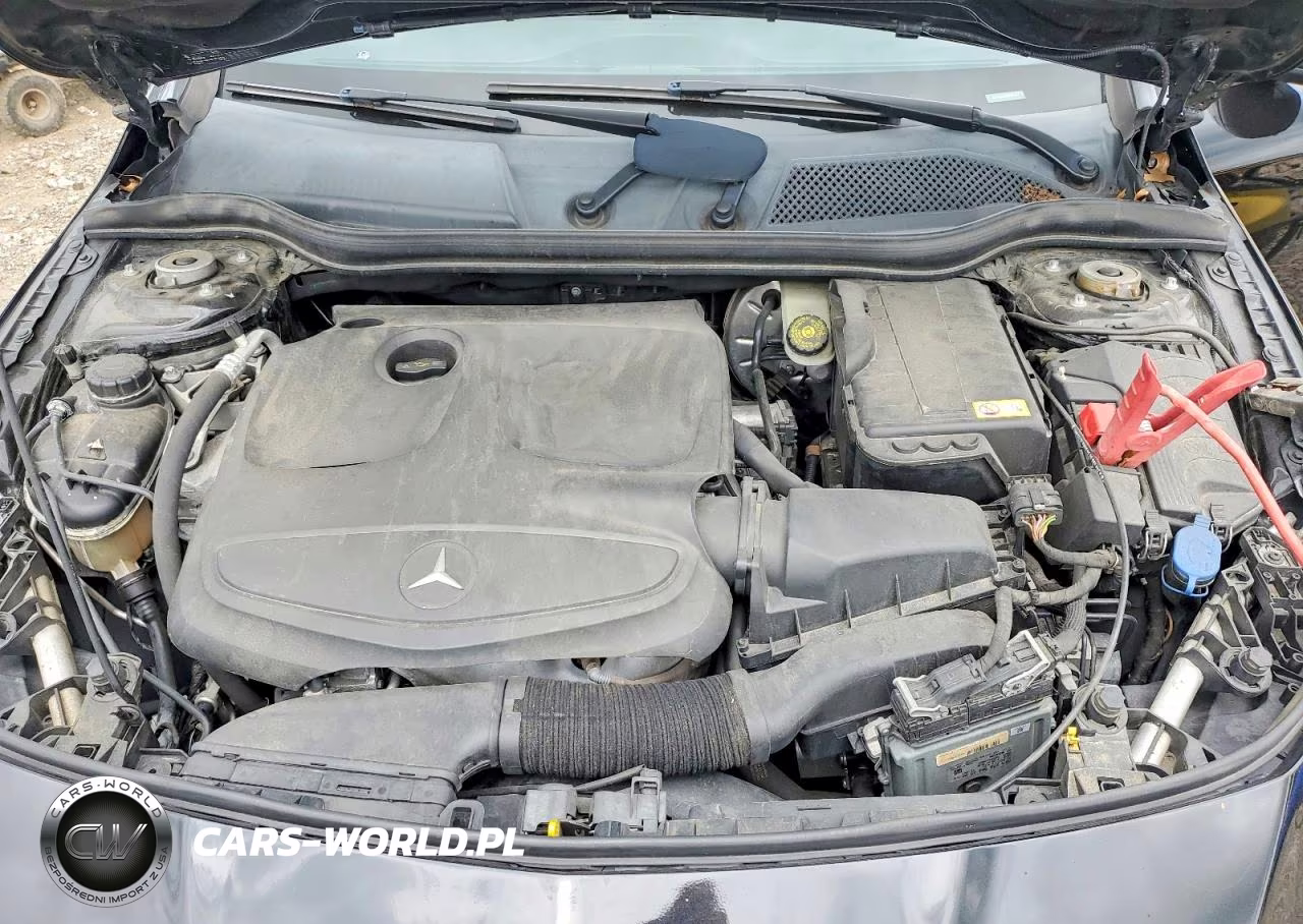2014 Mercedes-Benz Cla 250 VIN:WDDSJ4EB9EN025776 - 11