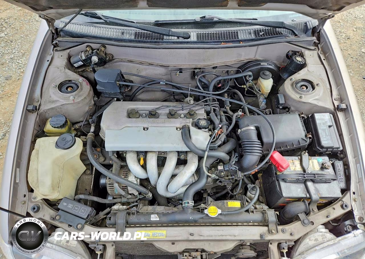1998 Toyota Corolla Ve VIN:1NXBR18E9WZ059999 - 11