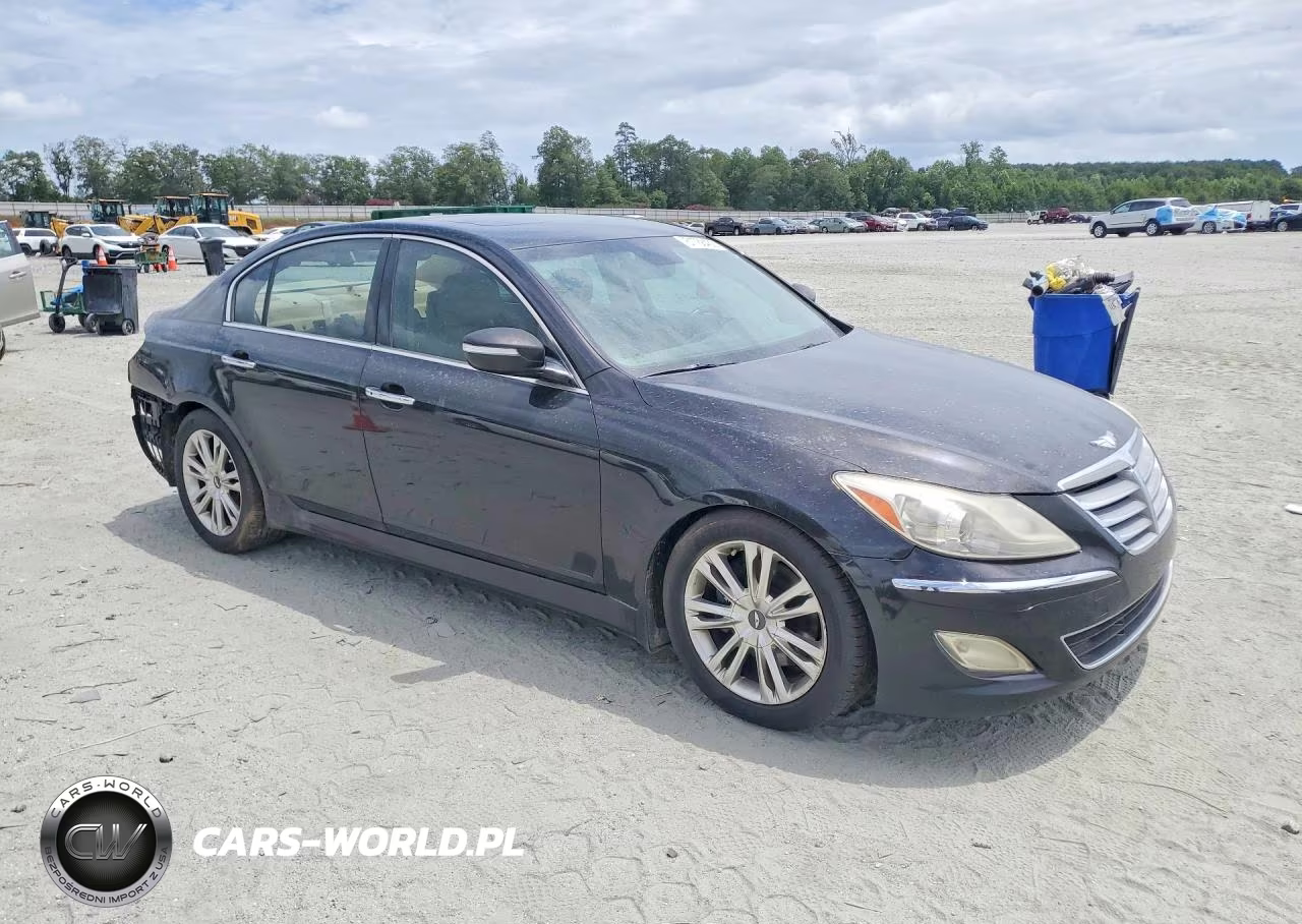 2014 Hyundai Genesis 3.8L VIN:KMHGC4DD4EU261928 - 4