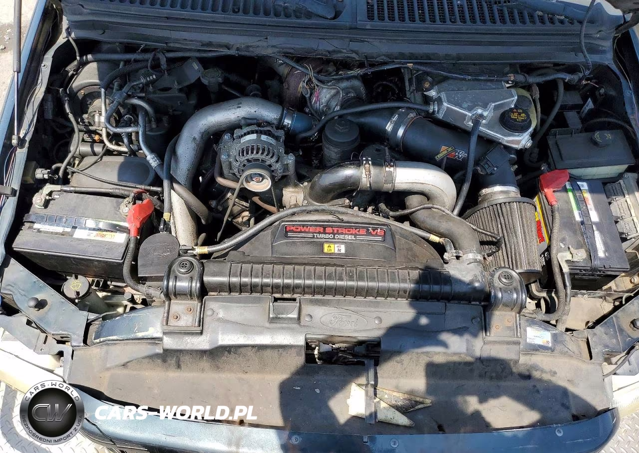 2003 Ford Excursion Eddie Bauer VIN:1FMSU45P03EC48021 - 12
