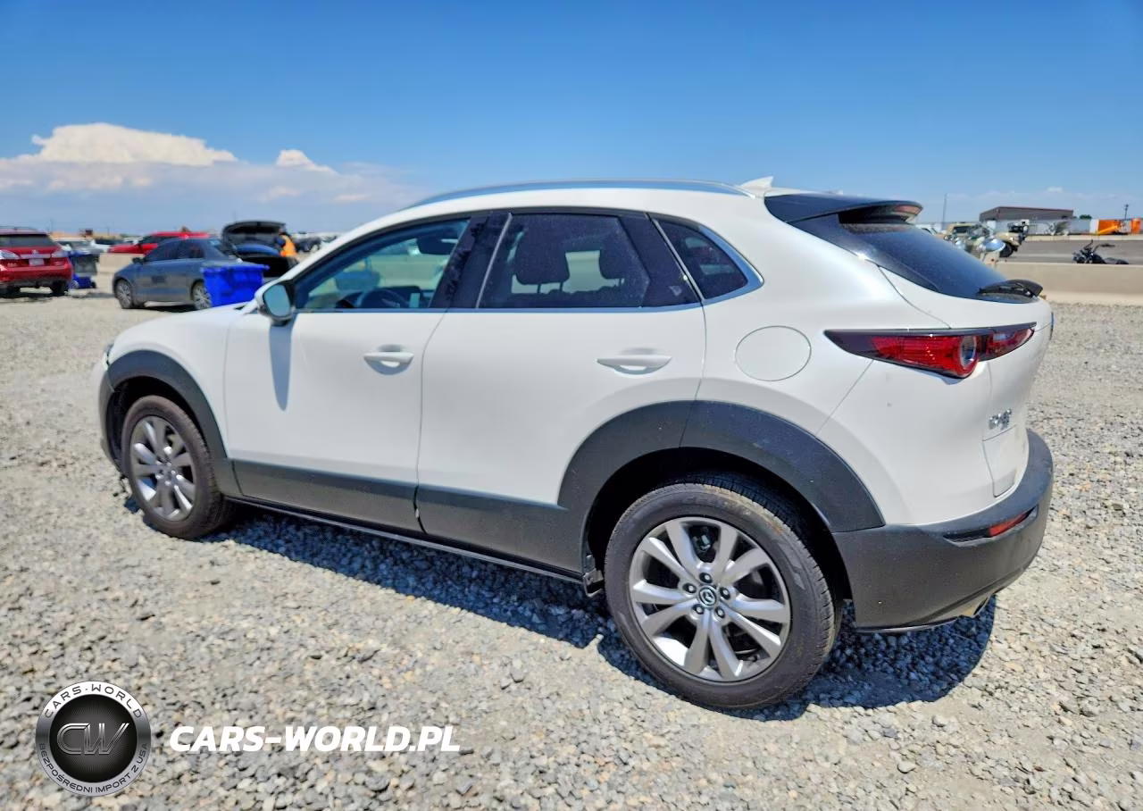 2021 Mazda Cx-30 Premium VIN:3MVDMBDL7MM300061 - 2