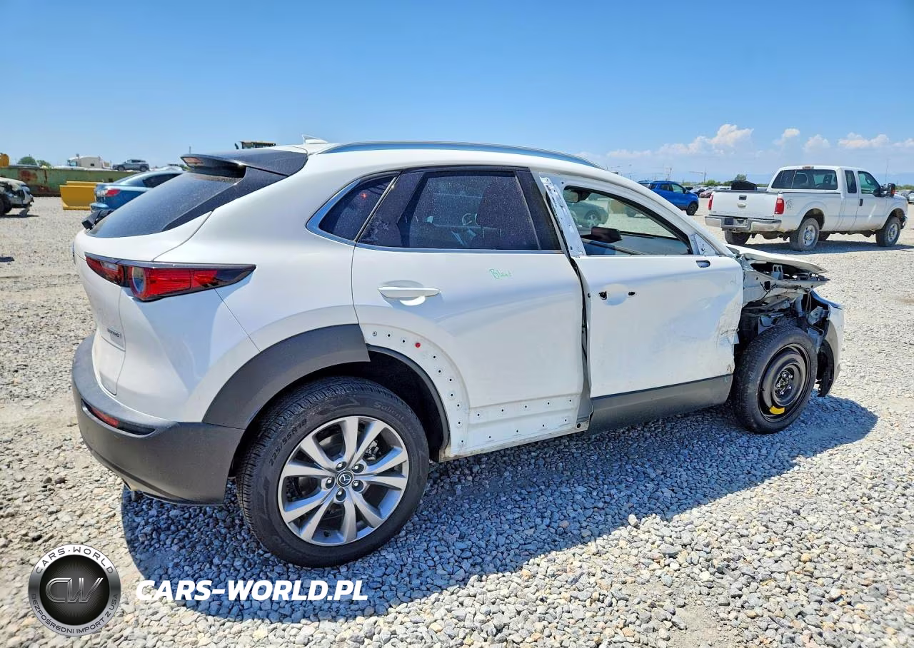 2021 Mazda Cx-30 Premium VIN:3MVDMBDL7MM300061 - 3