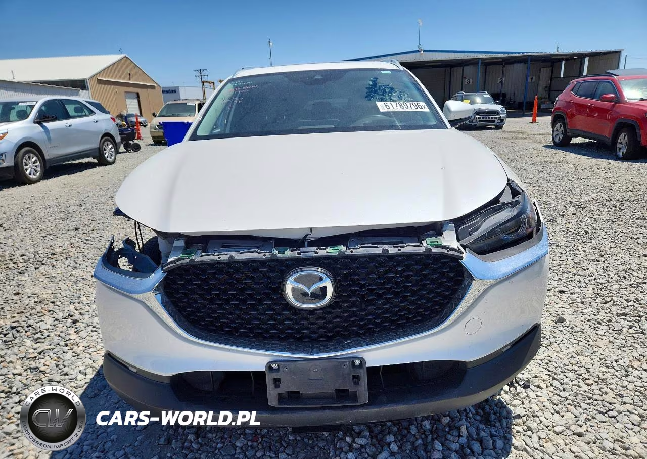 2021 Mazda Cx-30 Premium VIN:3MVDMBDL7MM300061 - 5
