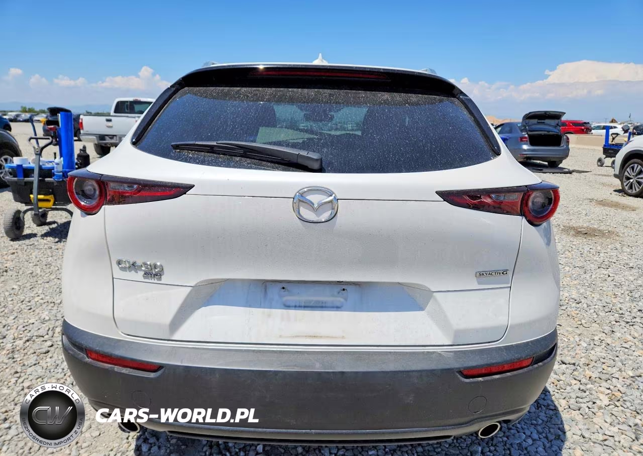 2021 Mazda Cx-30 Premium VIN:3MVDMBDL7MM300061 - 6