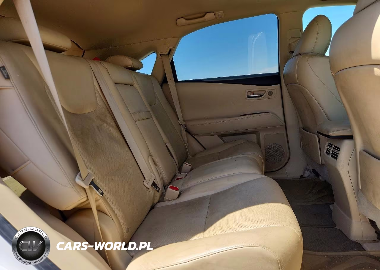 2010 Lexus Rx 350 VIN:JTJZK1BA7A2402369 - 10