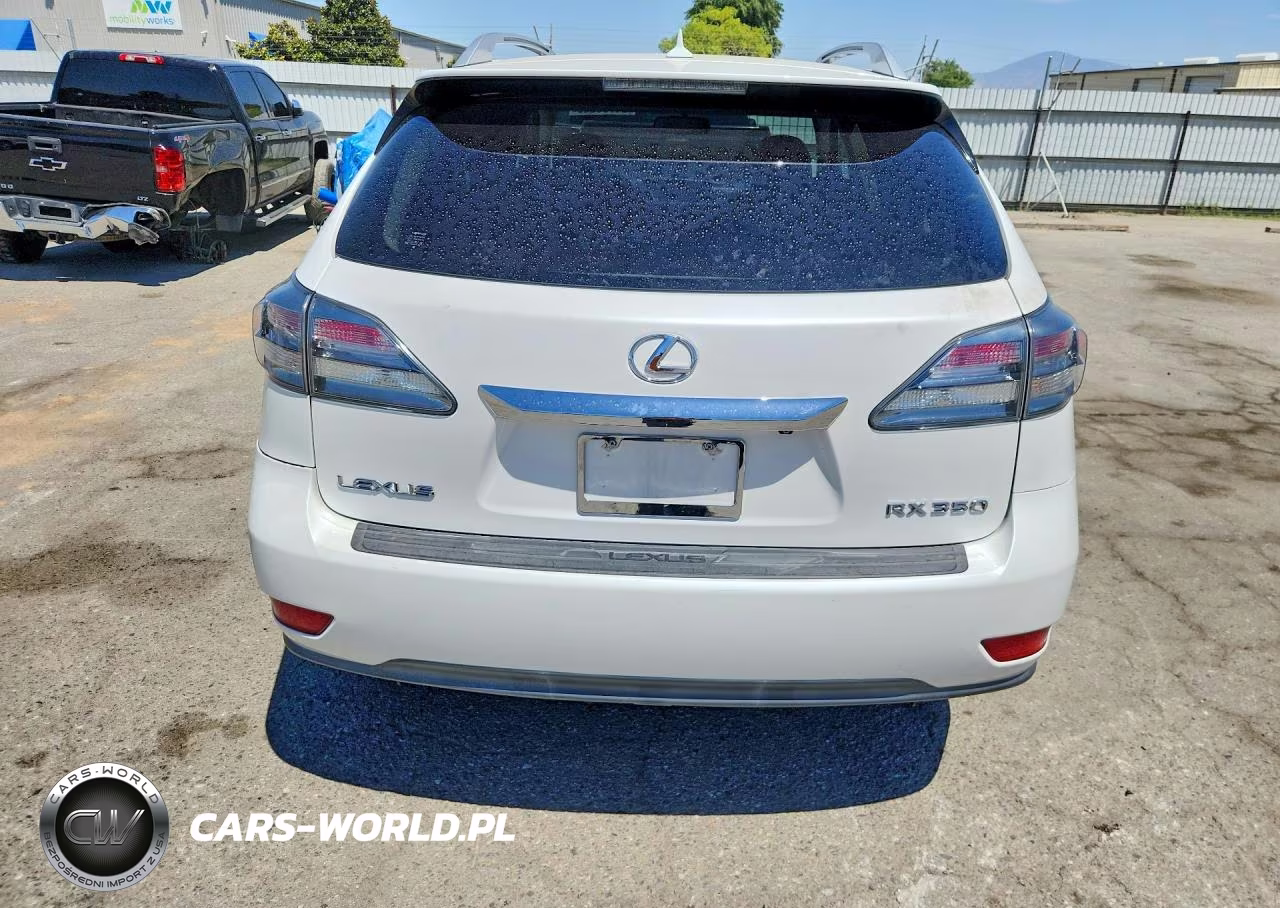 2010 Lexus Rx 350 VIN:JTJZK1BA7A2402369 - 6