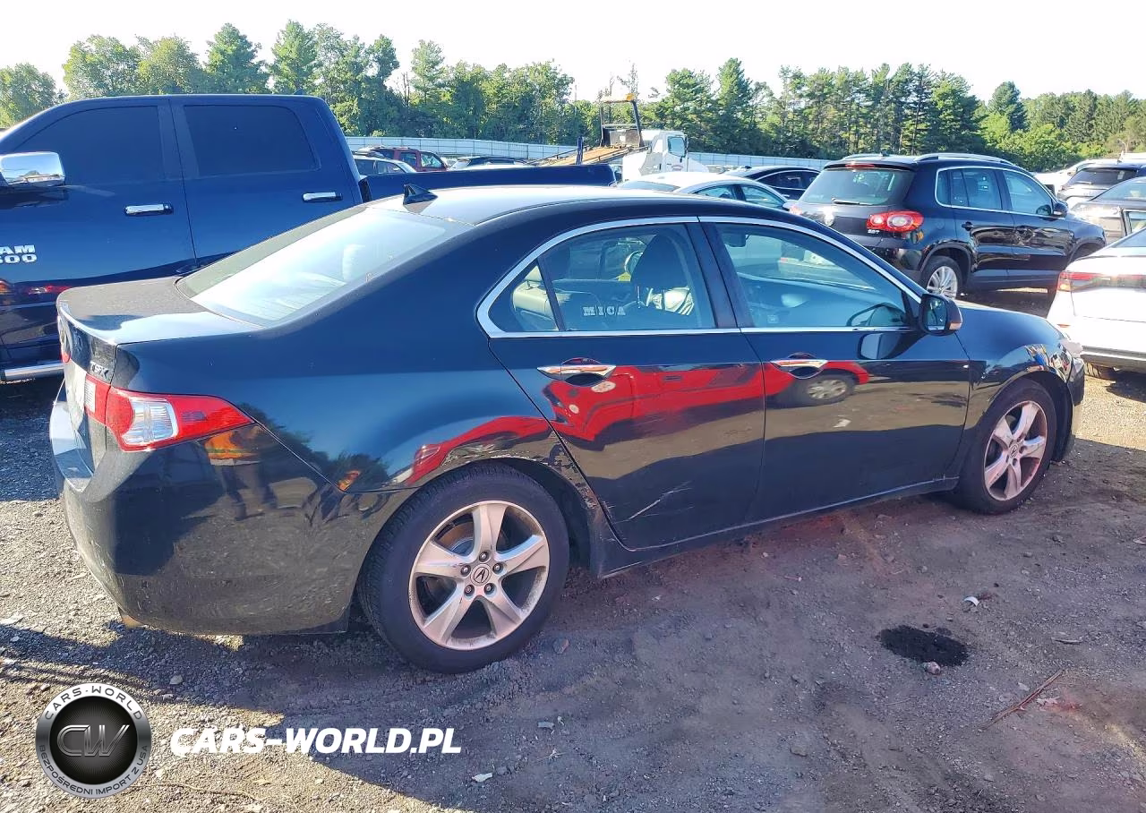 2010 Acura Tsx VIN:JH4CU2F63AC023408 - 3