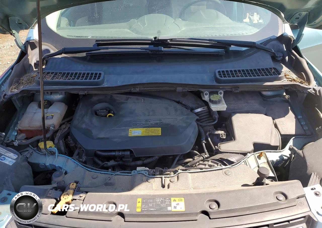 2013 Ford Escape Se VIN:1FMCU0GX3DUB44706 - 11