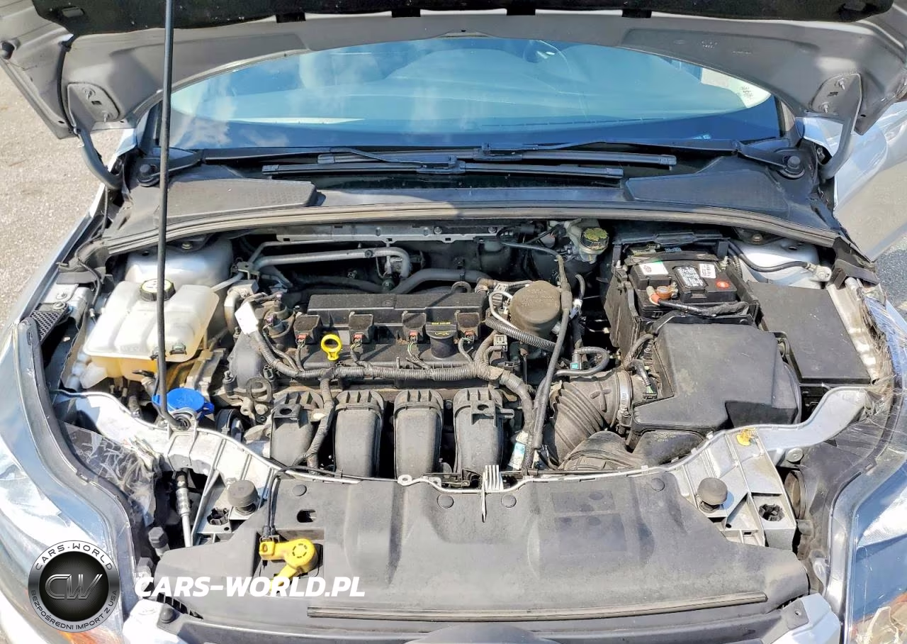 2014 Ford Focus Se VIN:1FADP3K2XEL132613 - 12