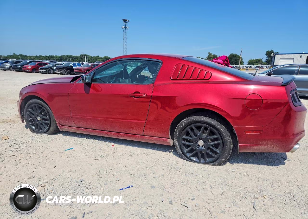 2014 Ford Mustang VIN:1ZVBP8AM5E5254640 - 2