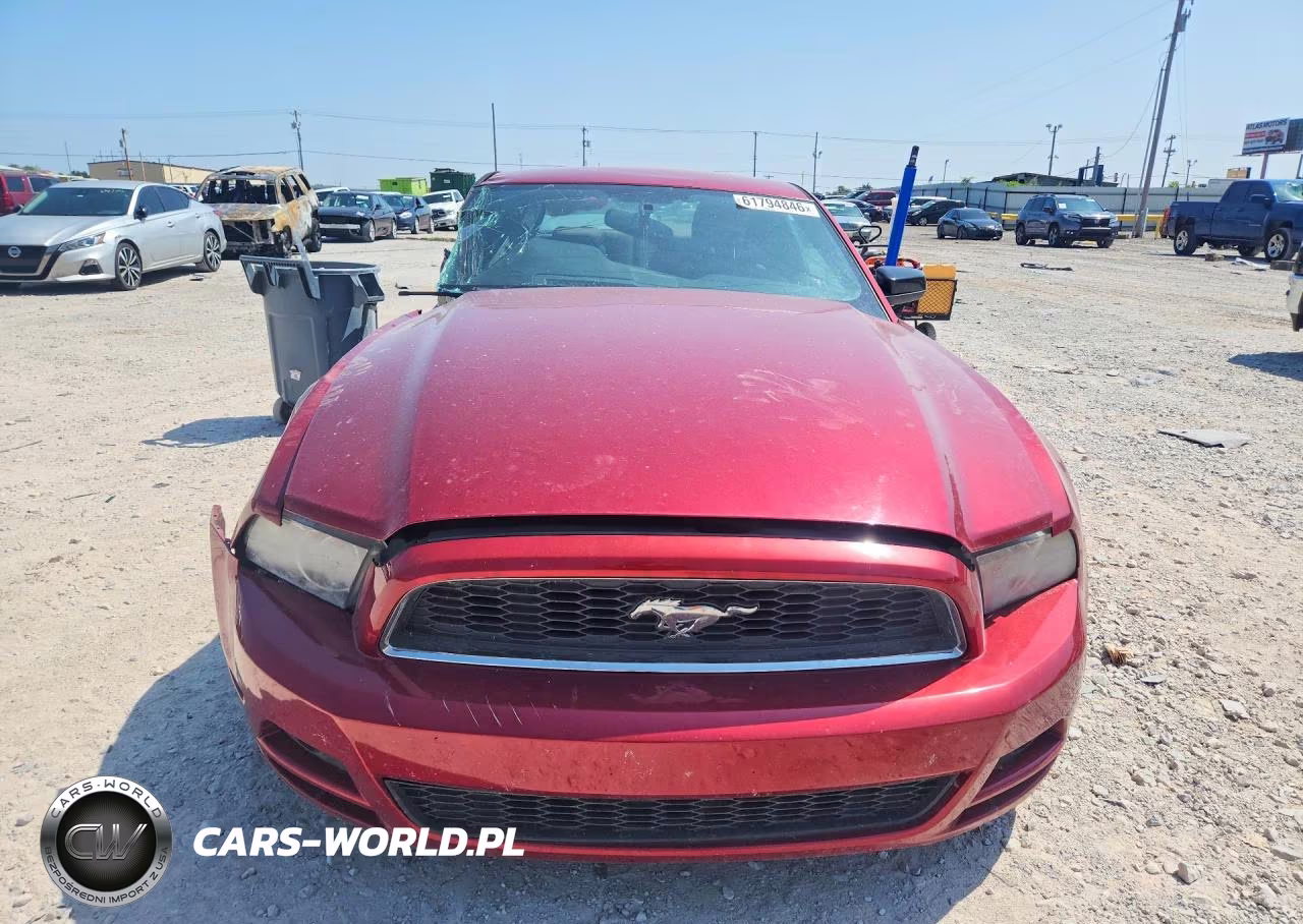 2014 Ford Mustang VIN:1ZVBP8AM5E5254640 - 5