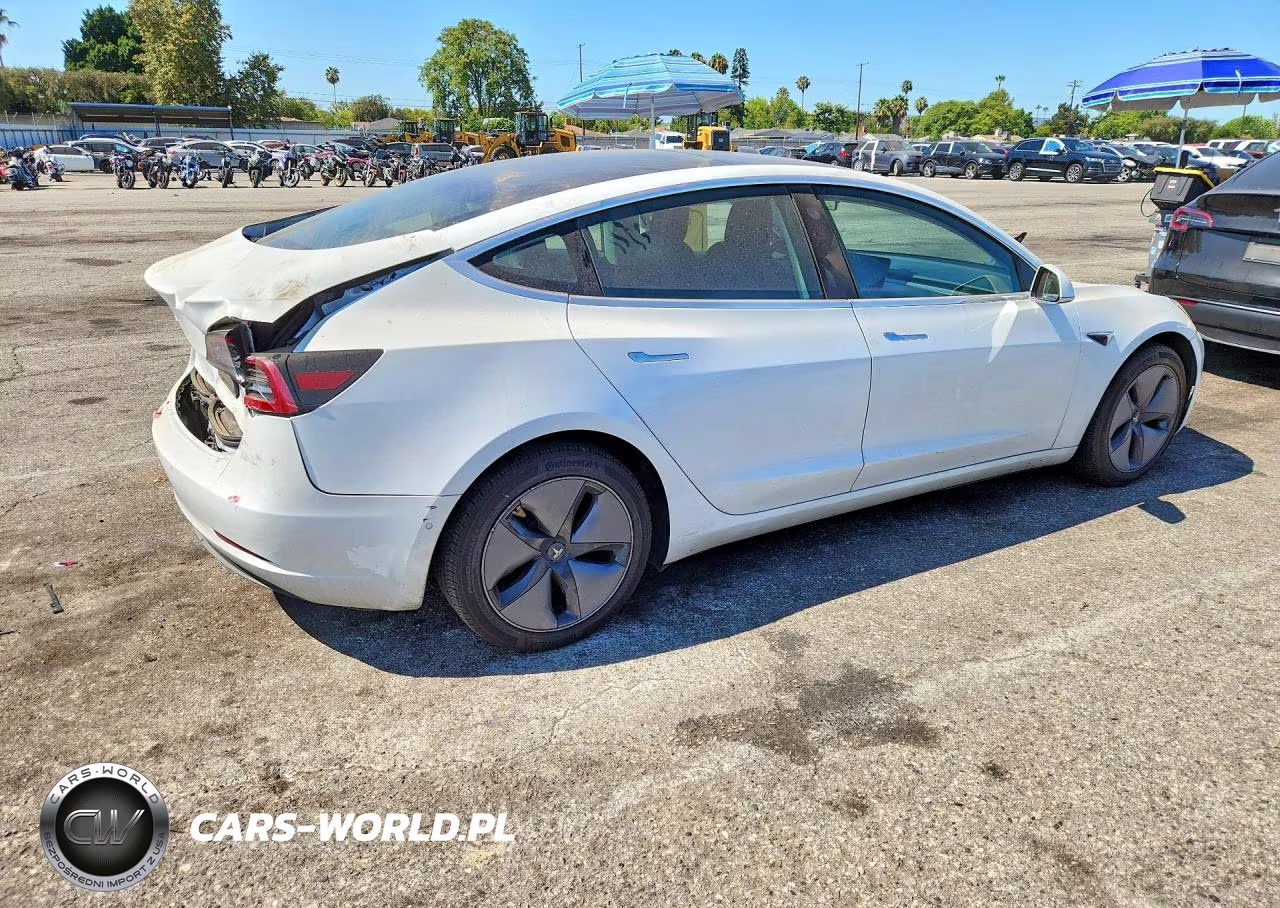 2019 Tesla Model 3 VIN:5YJ3E1EA4KF401402 - 3