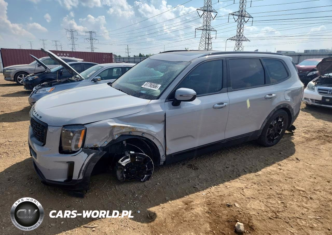 2021 Kia Telluride Sx VIN:5XYP5DHC5MG155519 - 1