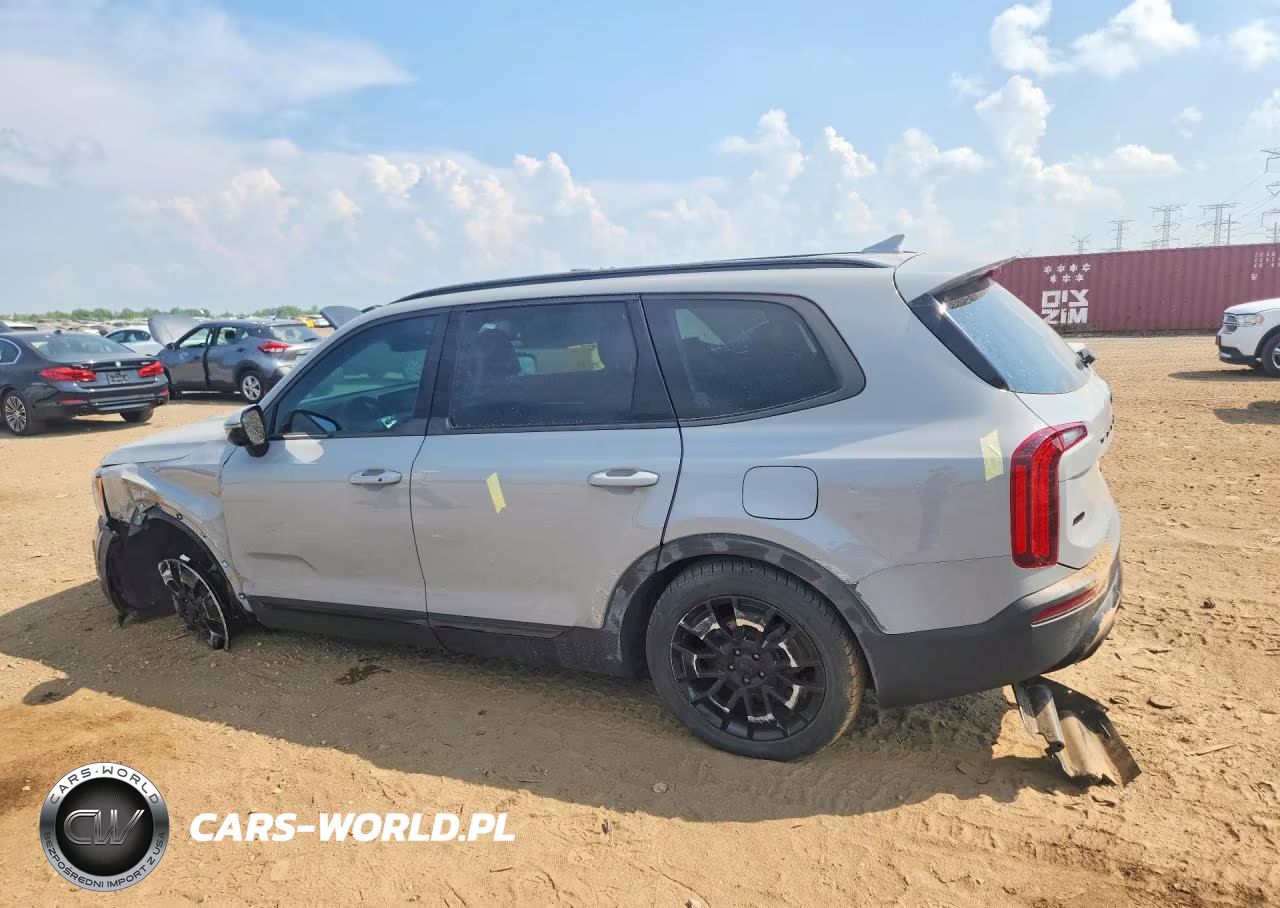2021 Kia Telluride Sx VIN:5XYP5DHC5MG155519 - 2