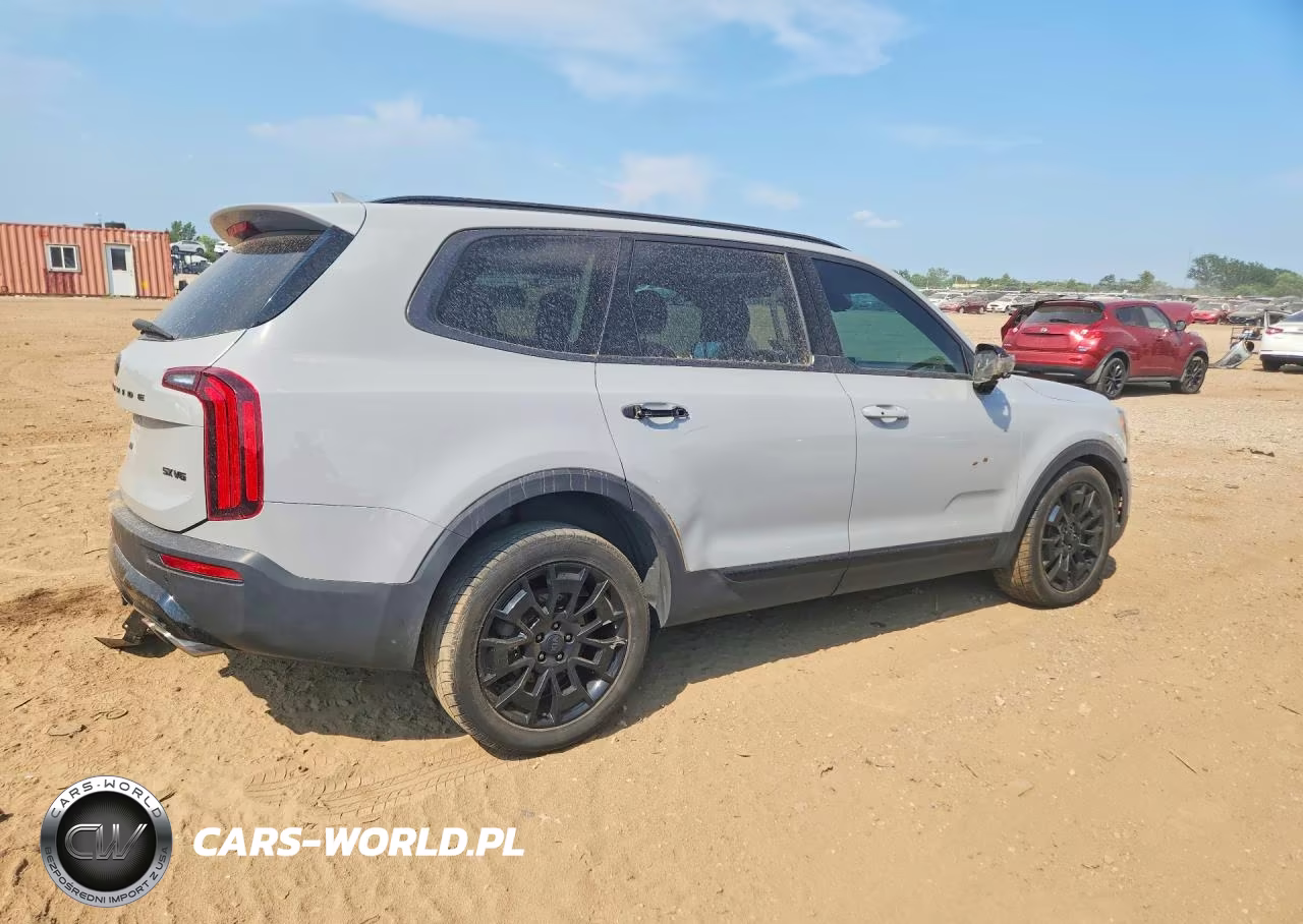 2021 Kia Telluride Sx VIN:5XYP5DHC5MG155519 - 3