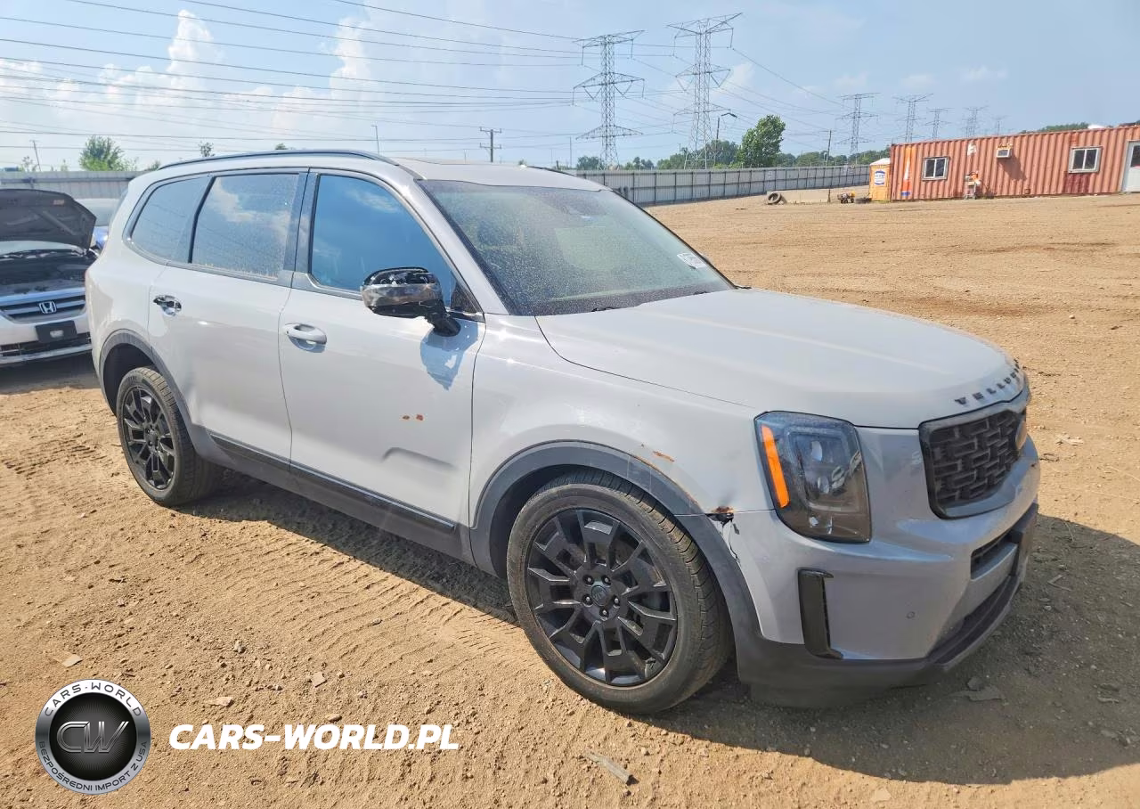 2021 Kia Telluride Sx VIN:5XYP5DHC5MG155519 - 4