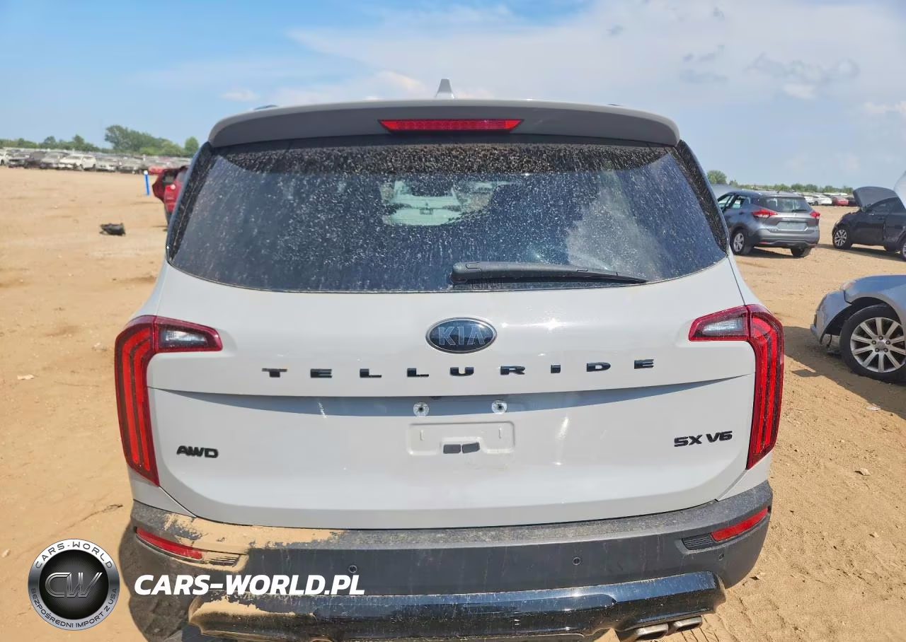 2021 Kia Telluride Sx VIN:5XYP5DHC5MG155519 - 6