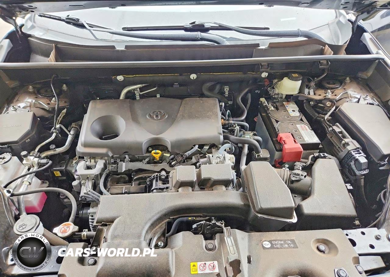 2025 Toyota Rav4 Xle VIN:JTMW1RFV6SJ032463 - 12