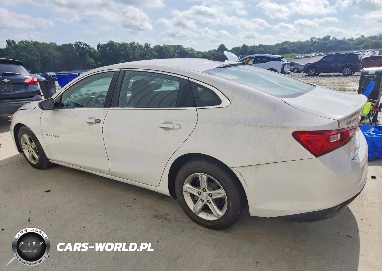 2019 Chevrolet Malibu Ls VIN:1G1ZB5ST5KF123789 - 2