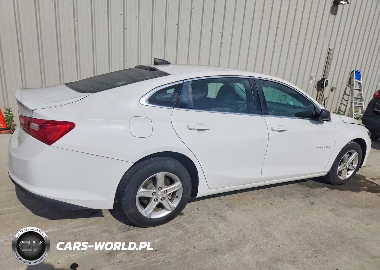2019 Chevrolet Malibu Ls VIN:1G1ZB5ST5KF123789 - 3