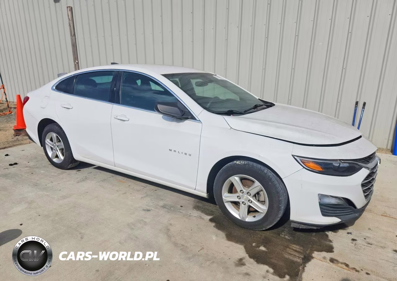2019 Chevrolet Malibu Ls VIN:1G1ZB5ST5KF123789 - 4