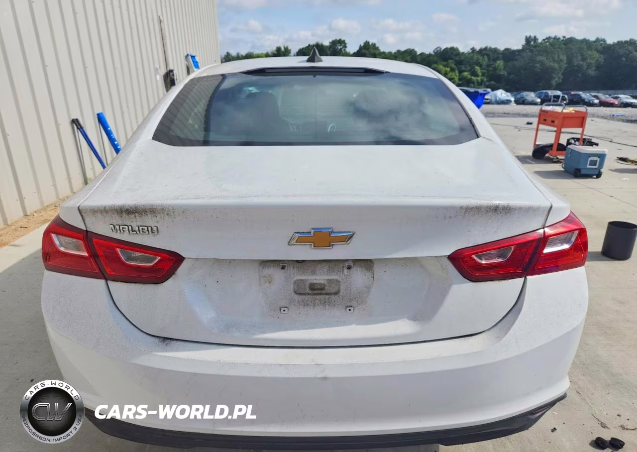 2019 Chevrolet Malibu Ls VIN:1G1ZB5ST5KF123789 - 6