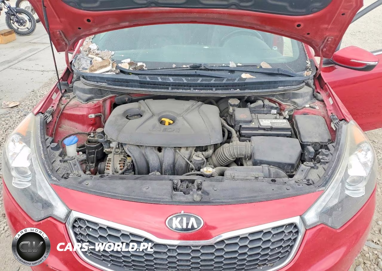 2016 Kia Forte Ex VIN:KNAFZ4A88G5613828 - 11