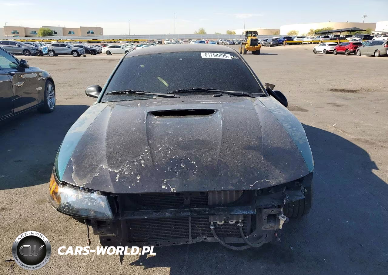 2001 Ford Mustang Gt VIN:1FAFP42X81F245592 - 5