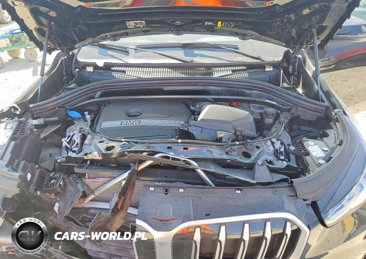 2019 Sfoggia X1 xDrive28I VIN:WBX73EF0XS5276883 - 12