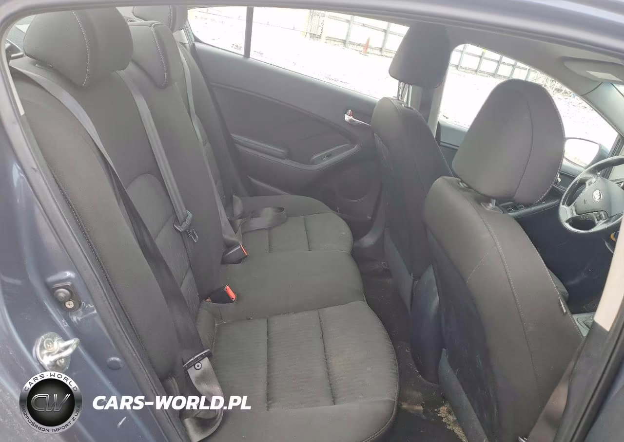 2016 Kia Forte Lx VIN:KNAFK4A63G5509069 - 10