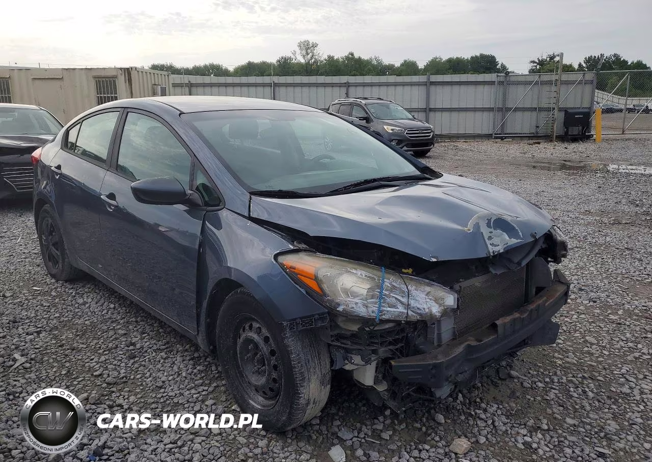 2016 Kia Forte Lx VIN:KNAFK4A63G5509069 - 4