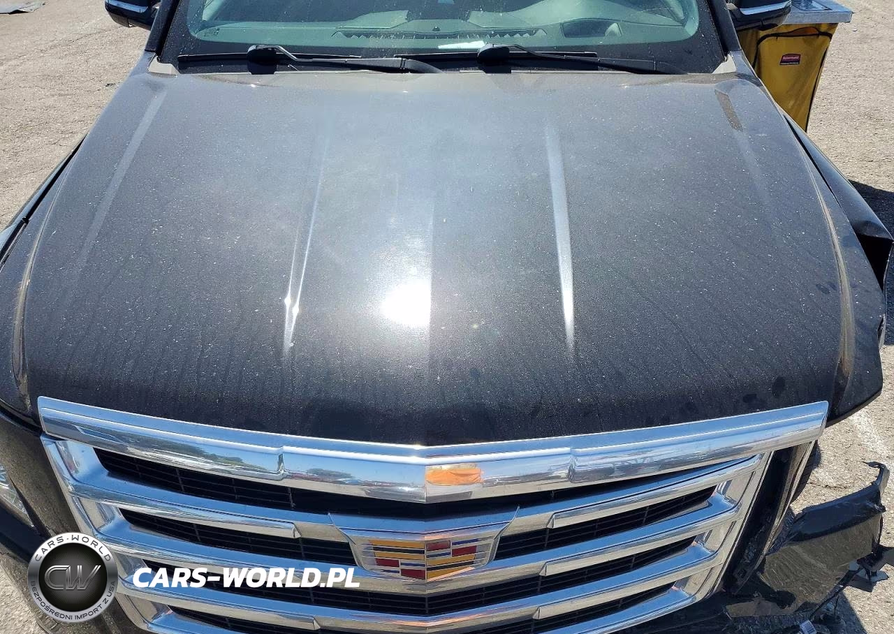 2020 Cadillac Escalade Premium Luxury VIN:1GYS3CKJ3LR148094 - 12