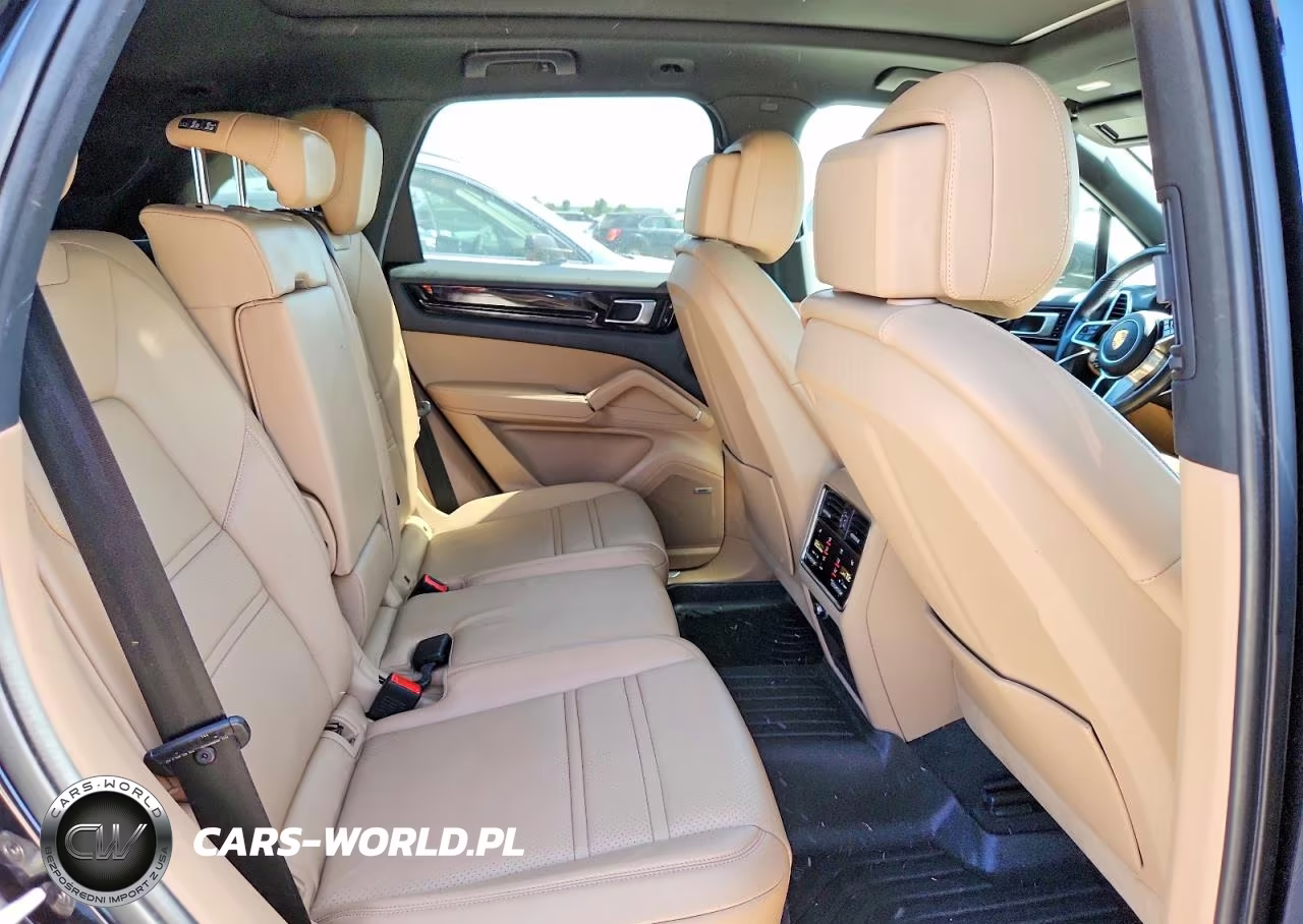 2020 Porsche Cayenne VIN:WP1AA2AY3LDA09031 - 10