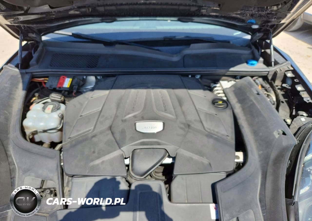 2020 Porsche Cayenne VIN:WP1AA2AY3LDA09031 - 11