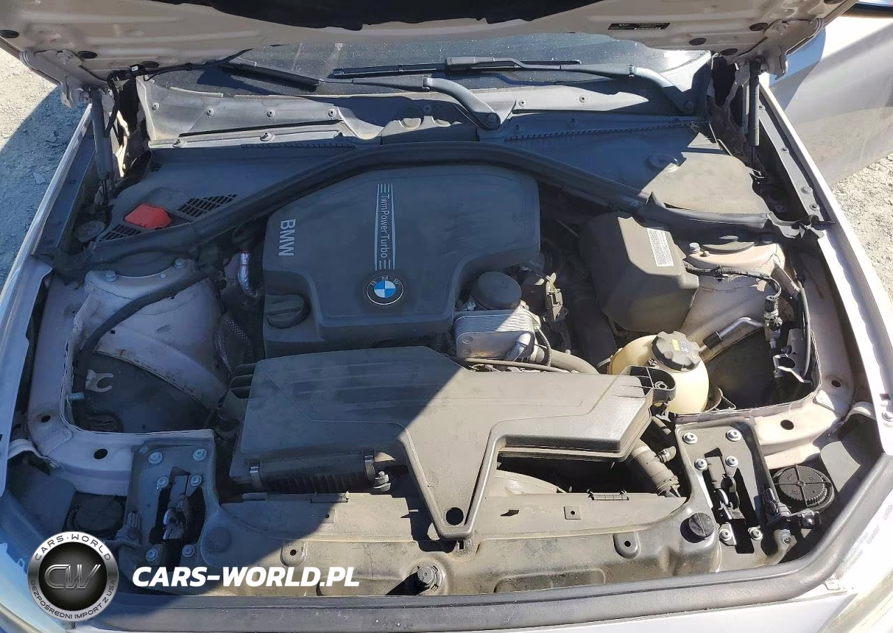 2014 BMW 228 I VIN:WBA1F5C51EV256131 - 11