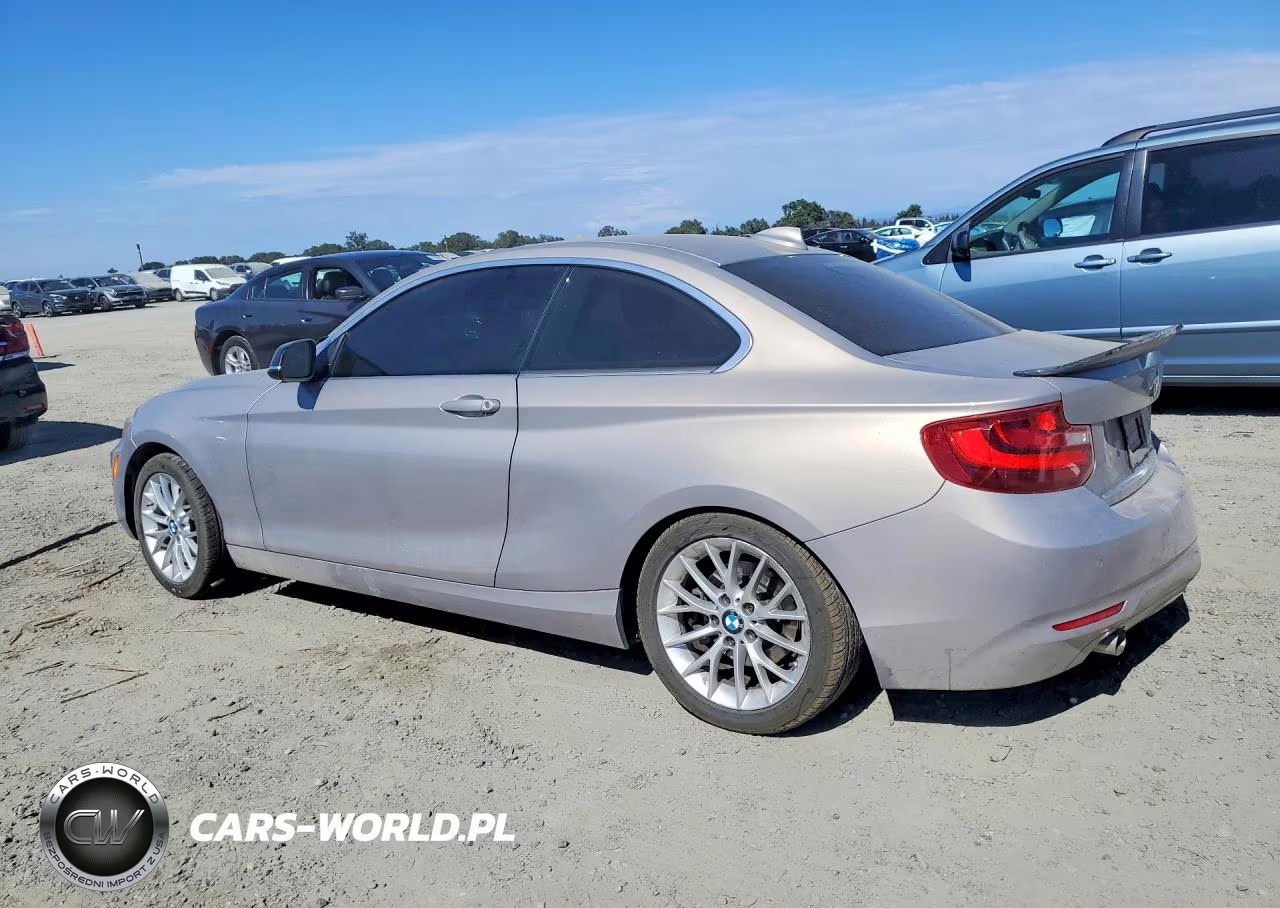 2014 BMW 228 I VIN:WBA1F5C51EV256131 - 2