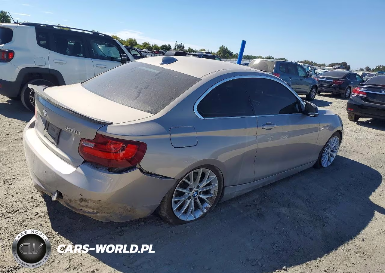 2014 BMW 228 I VIN:WBA1F5C51EV256131 - 3