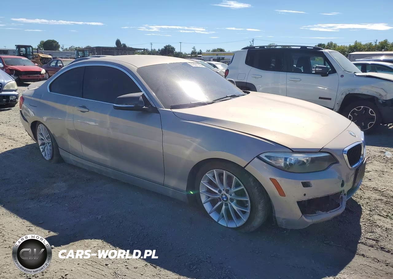 2014 BMW 228 I VIN:WBA1F5C51EV256131 - 4