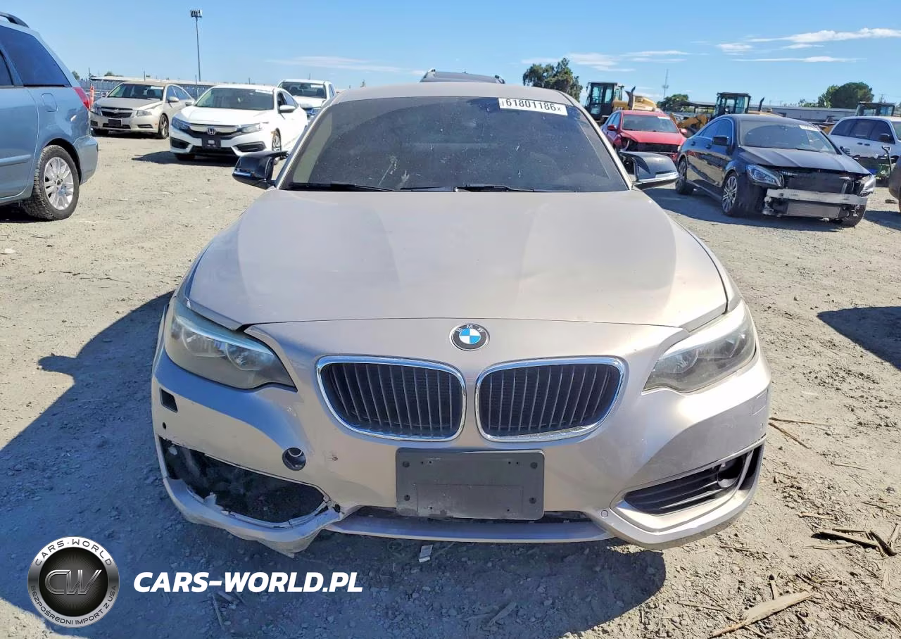 2014 BMW 228 I VIN:WBA1F5C51EV256131 - 5