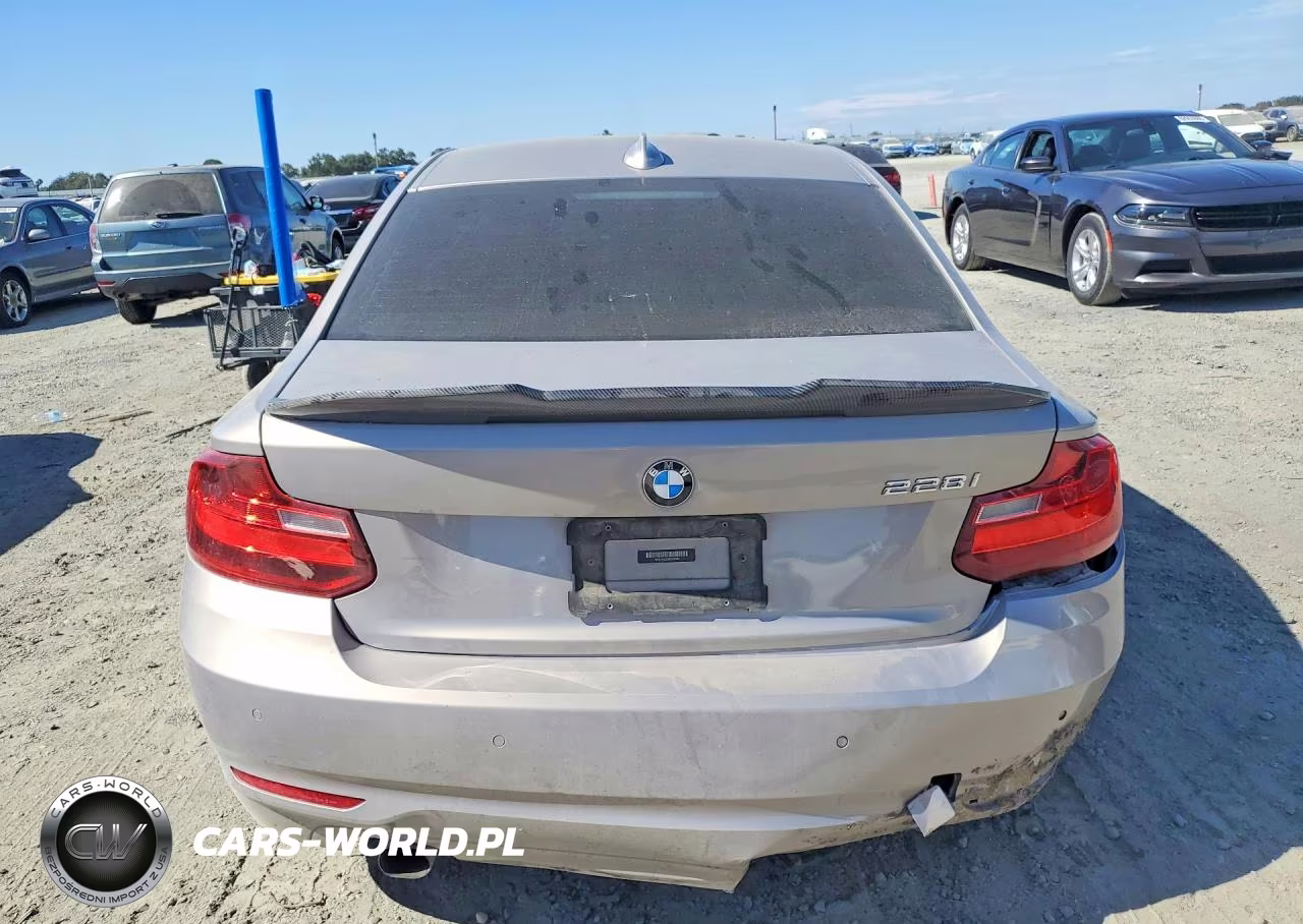 2014 BMW 228 I VIN:WBA1F5C51EV256131 - 6
