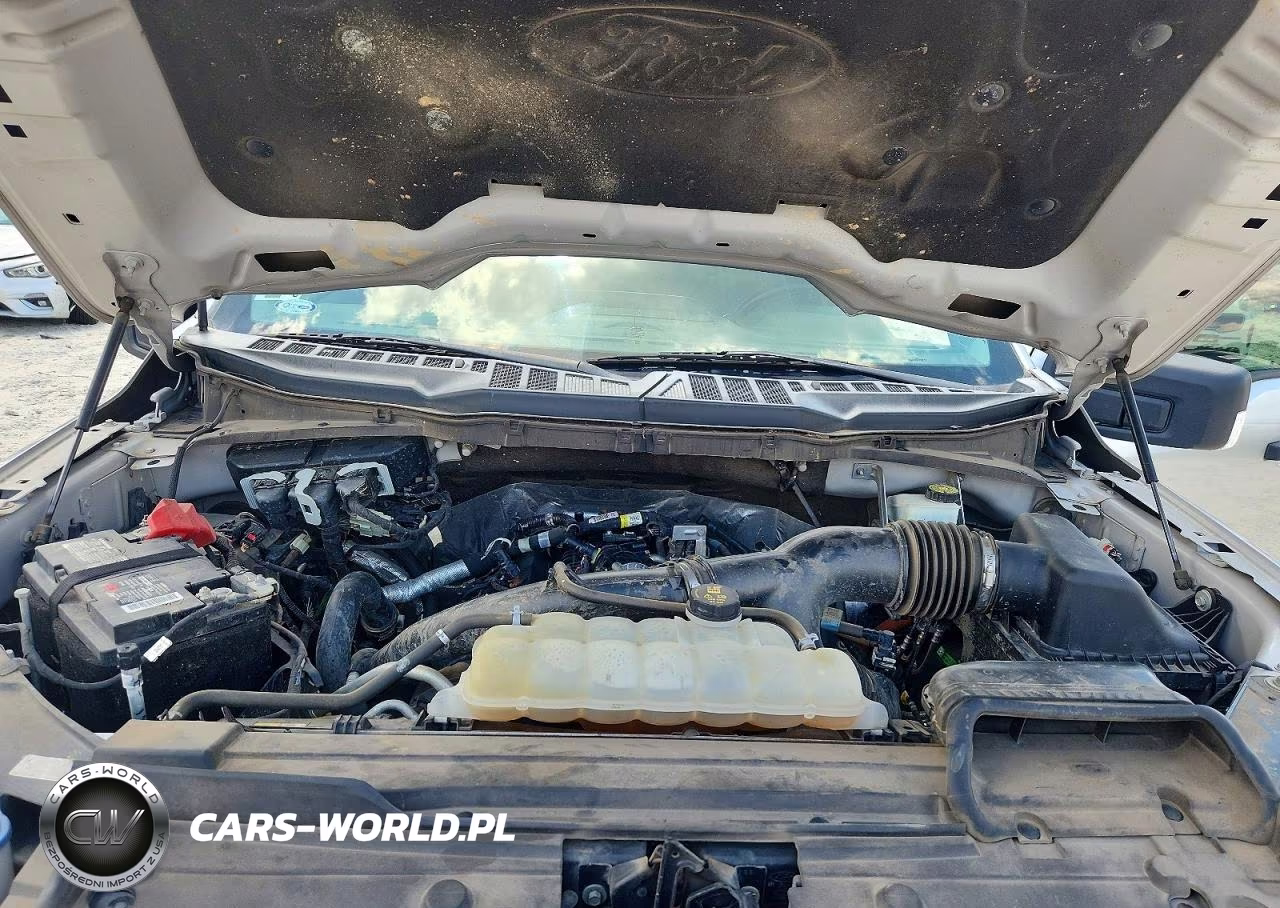 2021 Ford F150 Supercrew VIN:1FTEW1EP3MKE76513 - 11