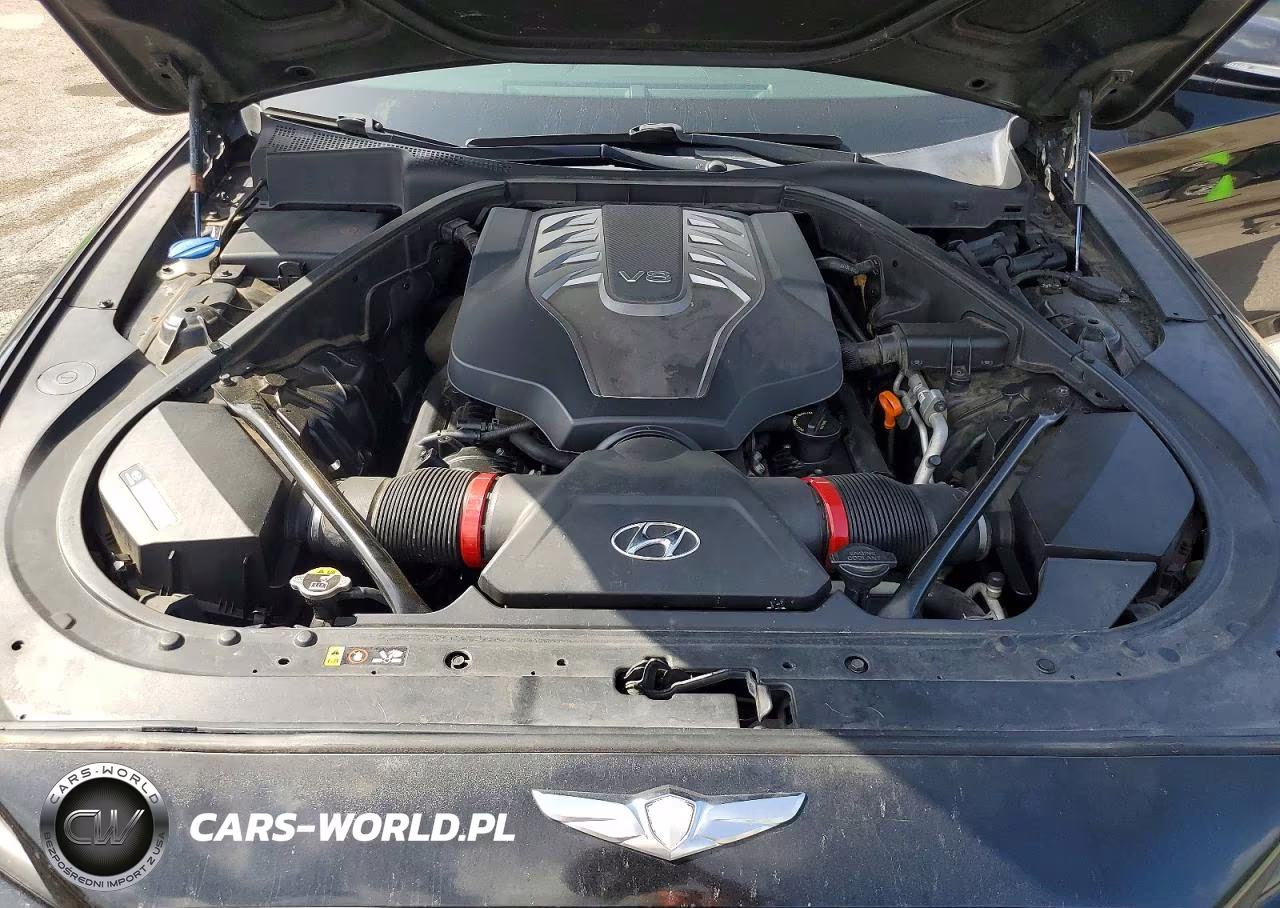 2015 Hyundai Genesis 5.0L VIN:KMHGN4JF9FU028533 - 11