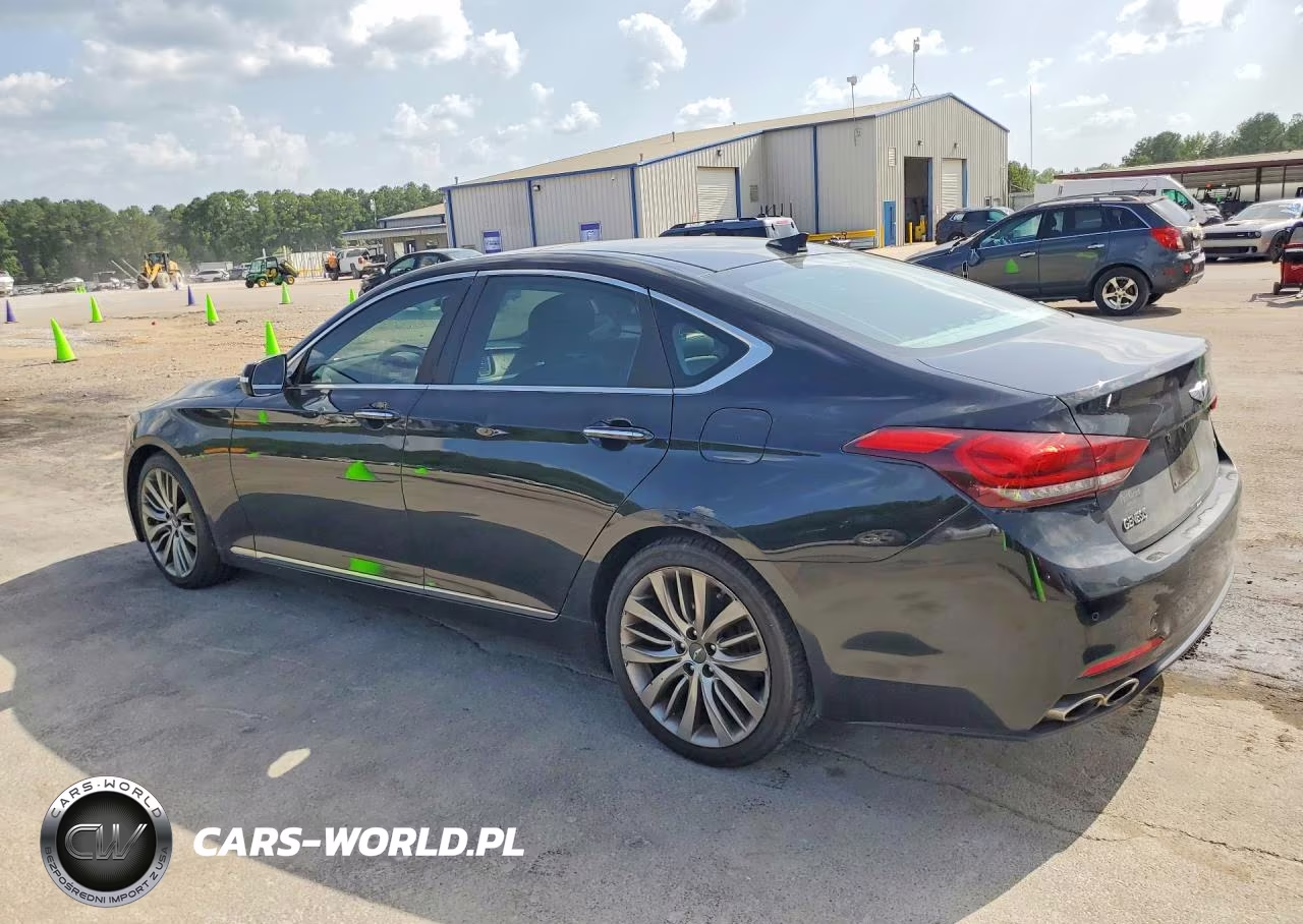 2015 Hyundai Genesis 5.0L VIN:KMHGN4JF9FU028533 - 2