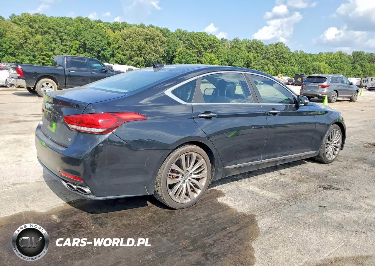 2015 Hyundai Genesis 5.0L VIN:KMHGN4JF9FU028533 - 3