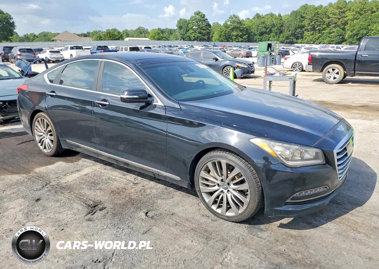 2015 Hyundai Genesis 5.0L VIN:KMHGN4JF9FU028533 - 4