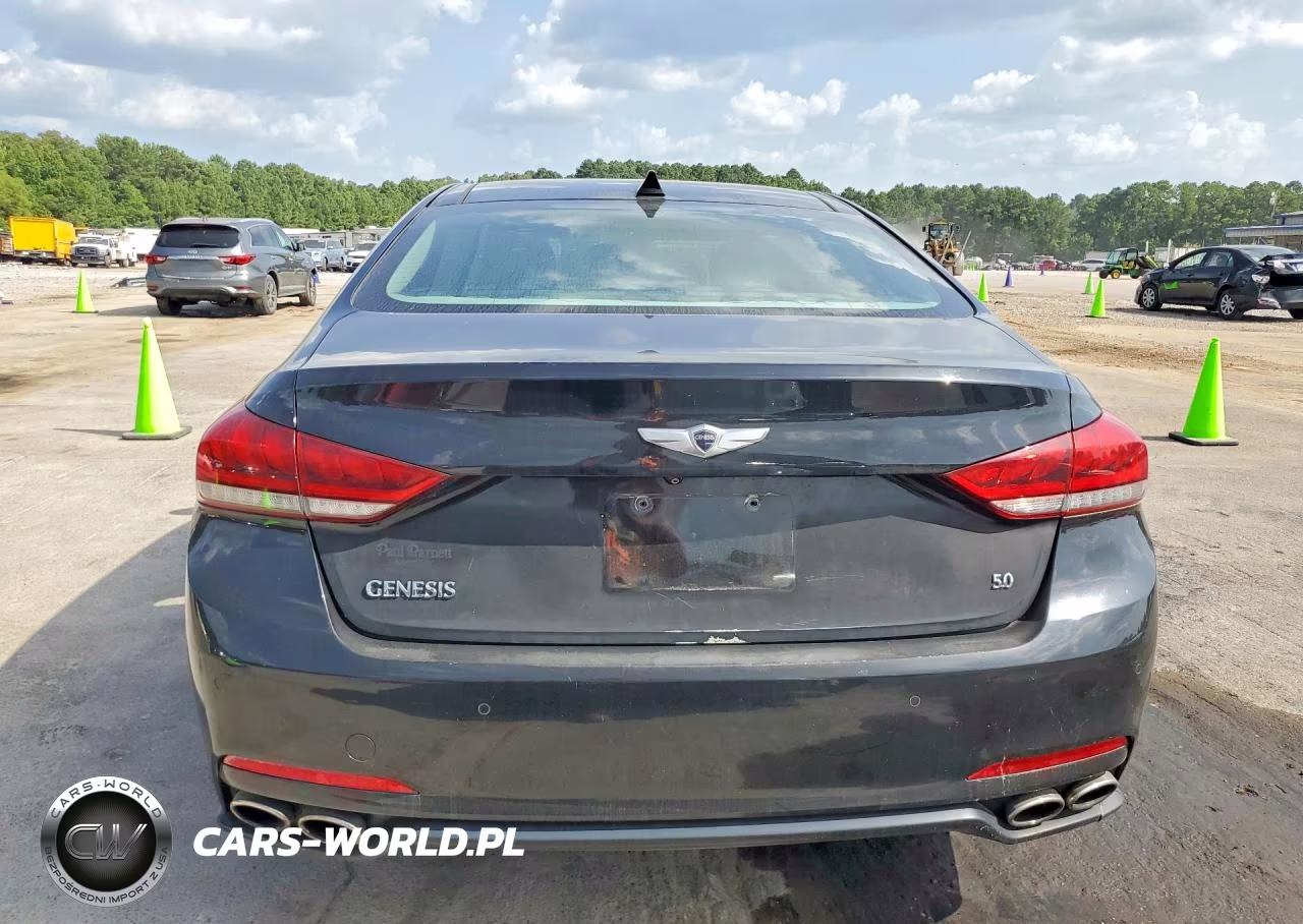 2015 Hyundai Genesis 5.0L VIN:KMHGN4JF9FU028533 - 6