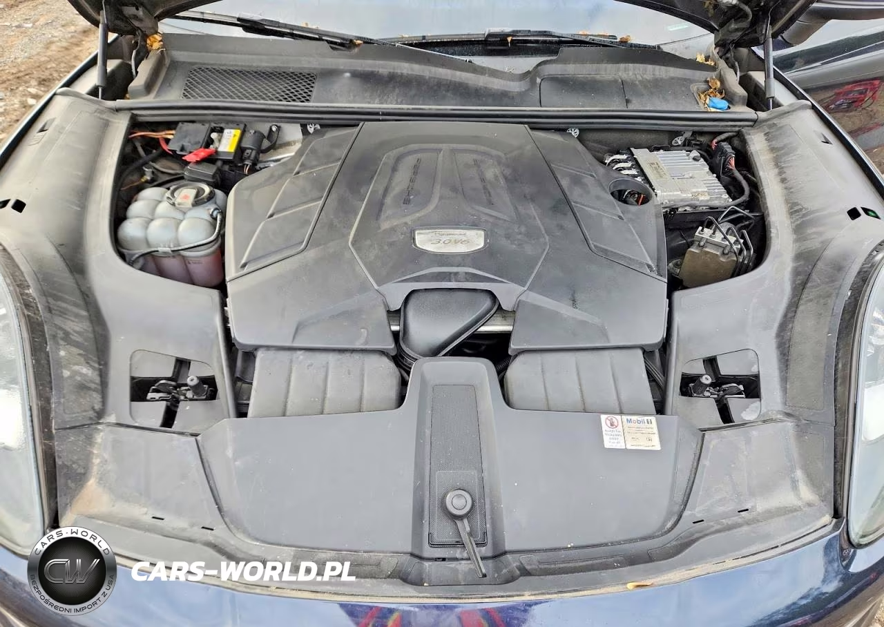 2019 Porsche Cayenne VIN:WP1AA2AY0KDA12290 - 12