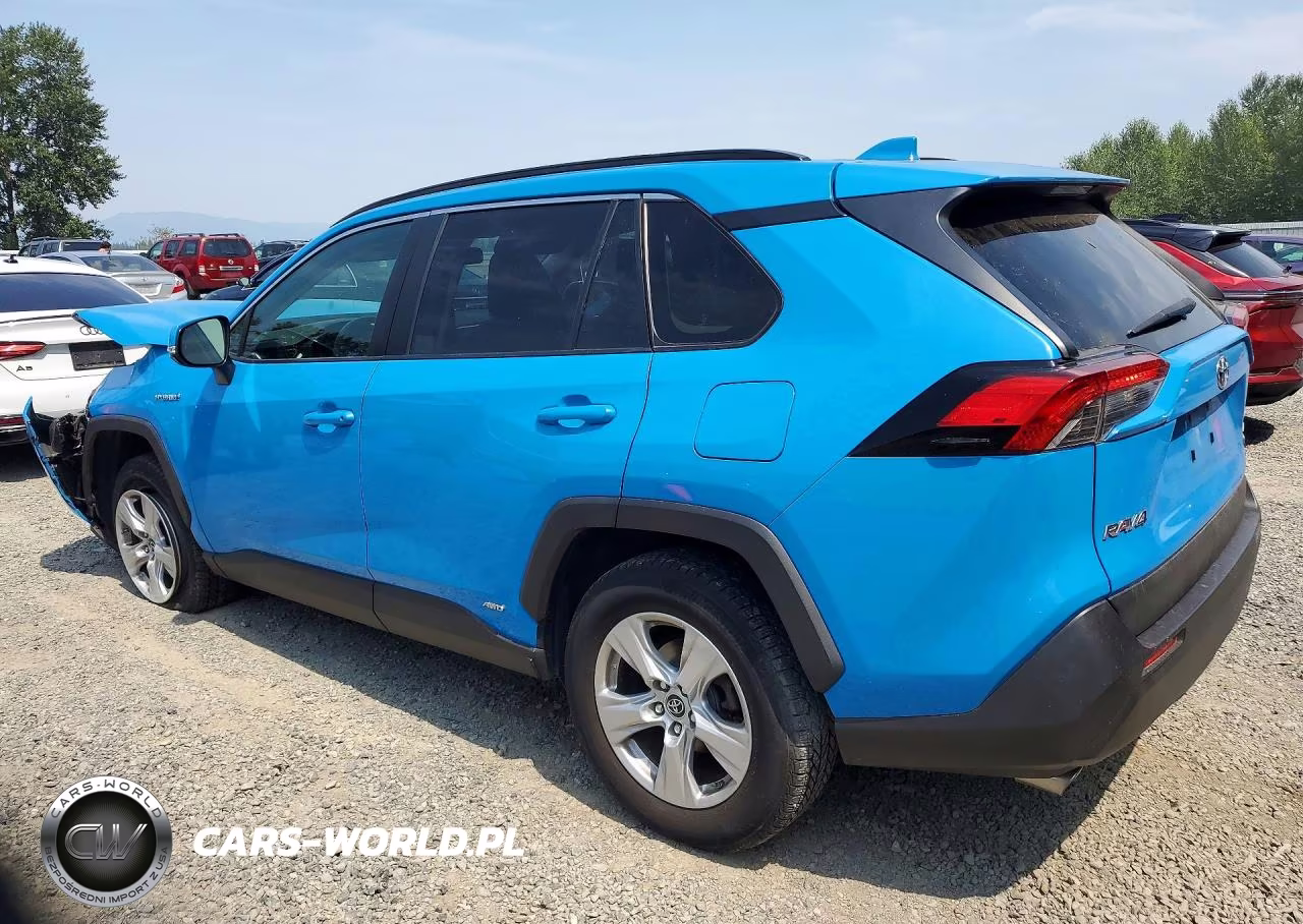 2019 Toyota Rav4 Le VIN:JTMMWRFV4KD011568 - 2