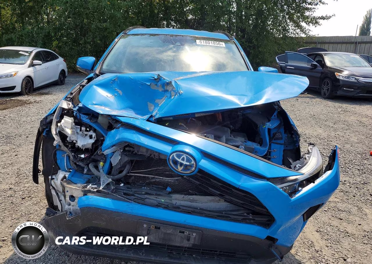 2019 Toyota Rav4 Le VIN:JTMMWRFV4KD011568 - 5