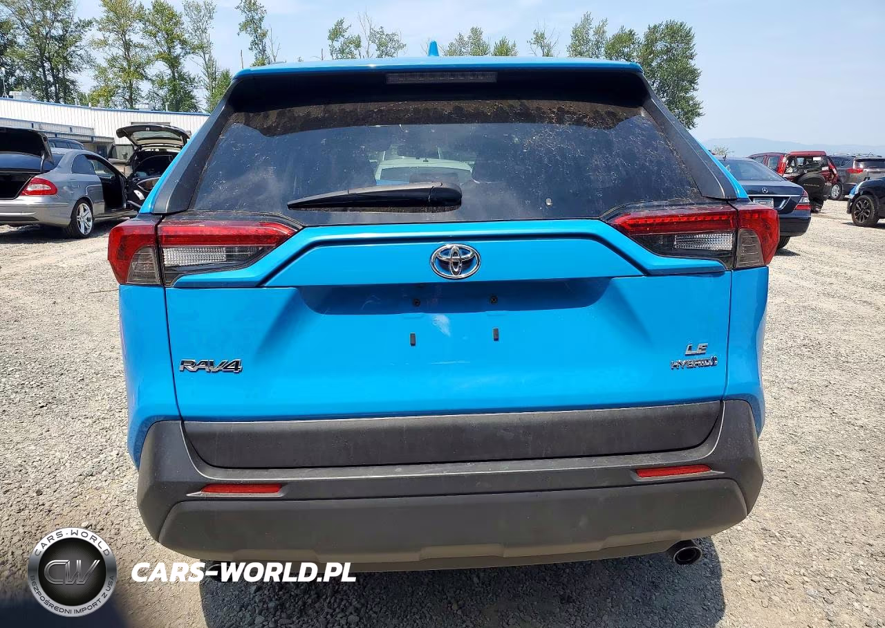 2019 Toyota Rav4 Le VIN:JTMMWRFV4KD011568 - 6